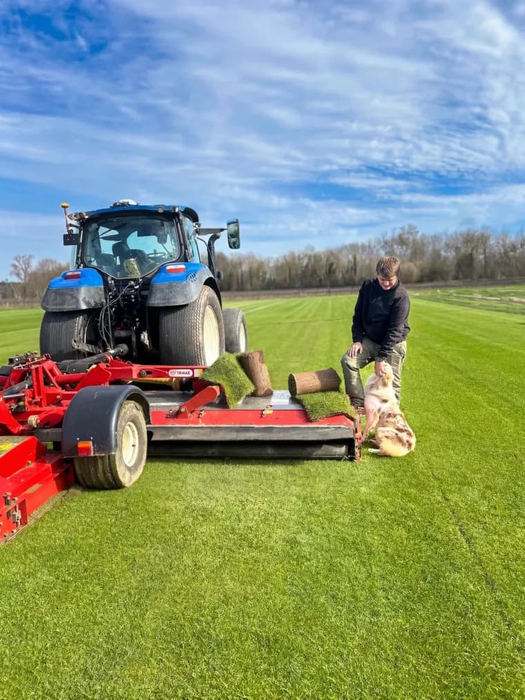 Récolte du gazon naturel à Saint-Thibéry - producteur direct Hérault